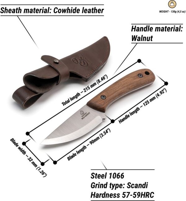 BeaverCraft Wild Harvest 3.5 inch Scandi Bushcraft