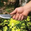 BeaverCraft Wild Harvest 3.5 inch Scandi Bushcraft