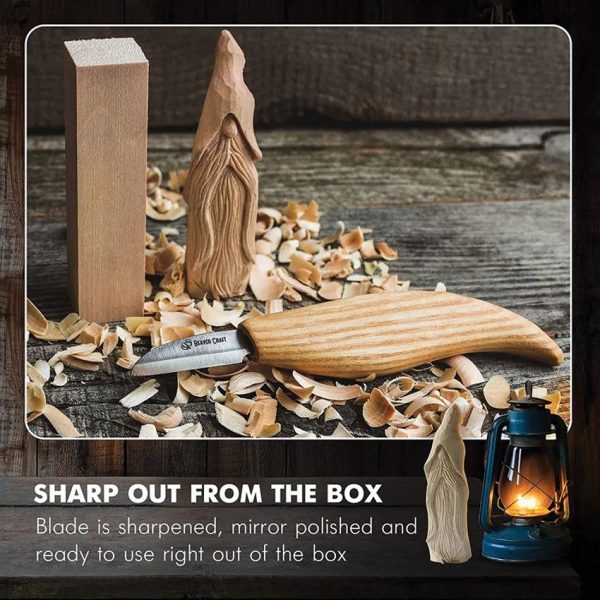 BeaverCraft Wizard Carving Kit - Beginner Wood Carving