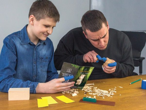 BeaverCraft Bear Carving Kit - C17P Detail Knife