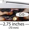 Case Cutlery Baby Butterbean Red Stag Folding Knife