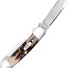 Case Cutlery Baby Butterbean Red Stag Folding Knife