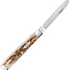 Case Cutlery Baby Doc 6282SP - Amber Bone Handle