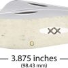 Case Cutlery Sowbelly Natural Bone