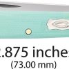 Case Cutlery Baby Doc Seafoam Green G10