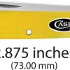 Case Cutlery Baby Doc Yellow Bone Multi-Blade Pocket Knife