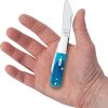 Case Cutlery Barlow Caribbean Blue Sawcut Bone