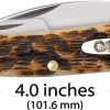 Case Cutlery Seahorse Whittler Amber Bone