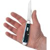 Case Cutlery Trapper Med Blue Peach Seed Stainless Folding
