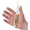 Case Cutlery Trapper 6.5 Bonestag - Two-Blade Folding Knife