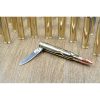 Caliber Gourmet Bullet Pocket Knife Stainless