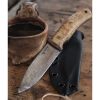 Casstrom No 10 Forest Knife Curly Birch