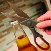 Clauss True Professional Shears - 8.25 inches Titanium