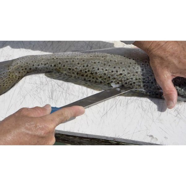 CM23046_add_05.jpg Camillus AquaTuff Wide Fillet Knife 7in - Zirconium