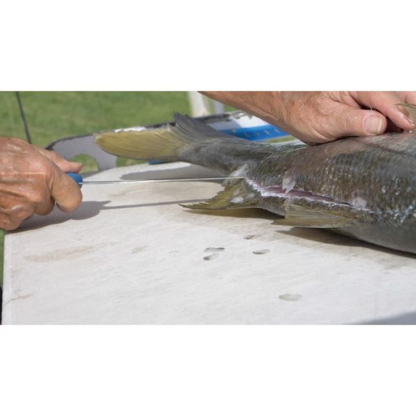 Camillus AquaTuff Fillet Knife 9in - Zirconium Blade