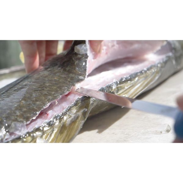 Camillus AquaTuff Fillet Knife 9in - Zirconium Blade