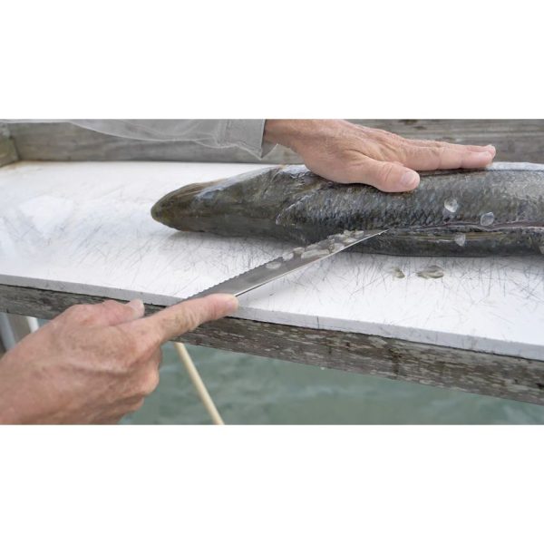 Camillus AquaTuff Serrated Utility 9in - Zirconium