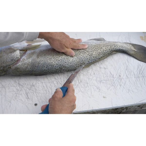 Camillus AquaTuff Curved Boning Knife - Blue Rubber