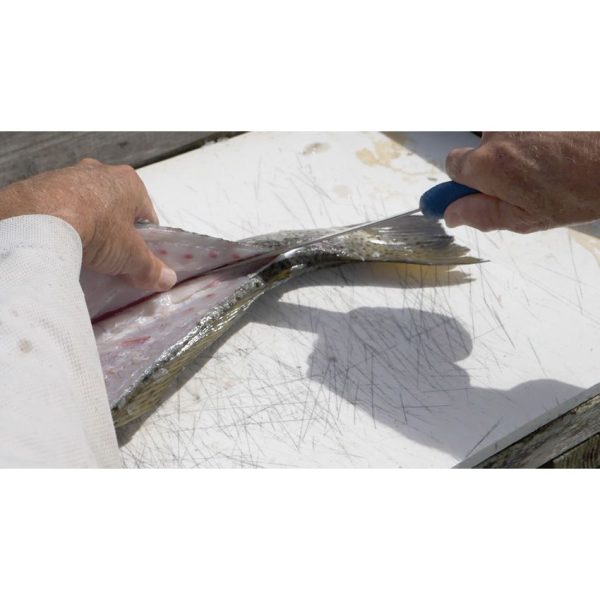 Camillus AquaTuff Curved Boning Knife - Blue Rubber