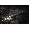 Coast PS500R USB-C Flashlight - 740 Lumens