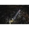 Coast PS500R USB-C Flashlight - 740 Lumens