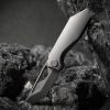 Cavol Shimo Framelock Gray M390 Ceramic Folding Knife