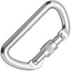 Cypher D Screw Gate Carabiner - Nickel 4.25 inches
