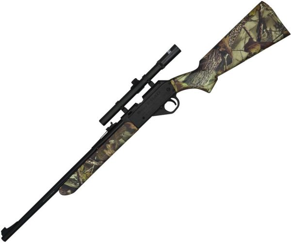 Daisy Model 2840 BB Gun with Scope - Camo Stock