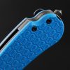 Daggerr Rhino Linerlock Blue FRN
