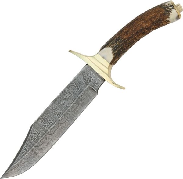 DM1009.jpg Damascus Bowie Fixed Blade Knife 6.75" Damascus Steel Stag Handle