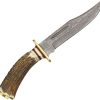Damascus El Dorado Skinner Fixed Blade Stag Handle Knife