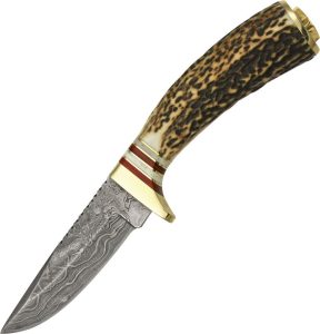 DM1046.jpg Damascus Whitetail Skinner Fixed Blade Knife Damascus Steel Stag