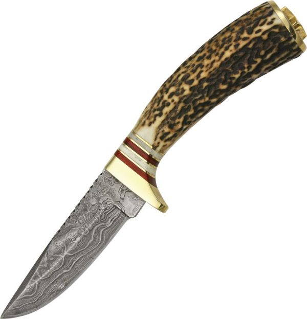 Damascus Whitetail Skinner Fixed Blade Knife Damascus Steel Stag