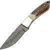 Damascus Hunter Fixed Blade Knife 3.6" Damascus Drop Point Stag
