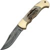 Damascus Lockback Stag Folding Knife 3.25" Damascus Blade