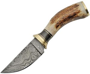 DM1188.jpg Damascus Skinner Stag Damascus Steel Fixed Blade