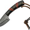 DM1233RD.jpg Damascus Hunter Black Fixed Blade Knife - Red Synthetic Handle
