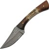 DM1269.jpg Damascus Skinner Stag Bone Fixed Blade Knife