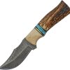 Damascus Stag and Turquoise Skinner Fixed Blade Knife 3.5"