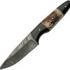 Damascus Fixed Blade Buffalo Stag 4.5" Damascus Steel Knife