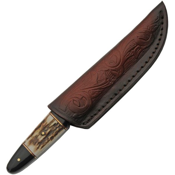 Damascus Fixed Blade Buffalo Stag 4.5" Damascus Steel Knife