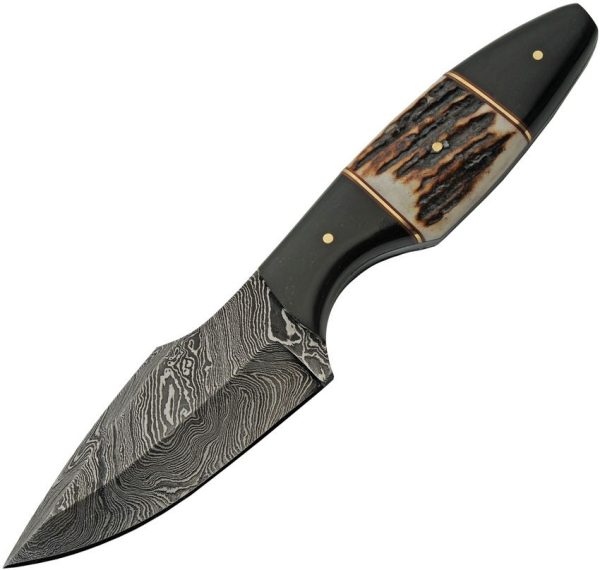 Damascus Hunter Stag Fixed Blade Knife 3.75" Damascus Steel