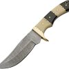 Damascus Hunter Horn Bone 5 inch Blade Fixed Knife