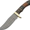 DM1313HW.jpg Damascus Hunter Horn Walnut Fixed Blade Knife 5" Damascus Steel
