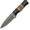 Damascus Hunter Buffalo Stag Fixed Blade Knife 3.5" Damascus Steel