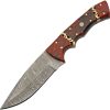 Damascus Rodeo Hunter Red Fixed Blade Knife 4.75" Damascus Steel