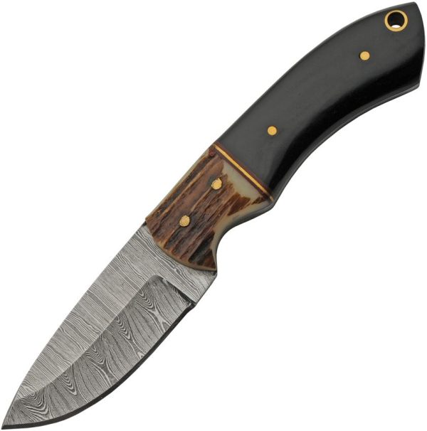 Damascus Eld Stag Skinner - Stag Bone Handle