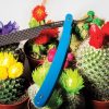Dovo Runde Sache 5/8 Straight Razor German Carbon Steel Blue