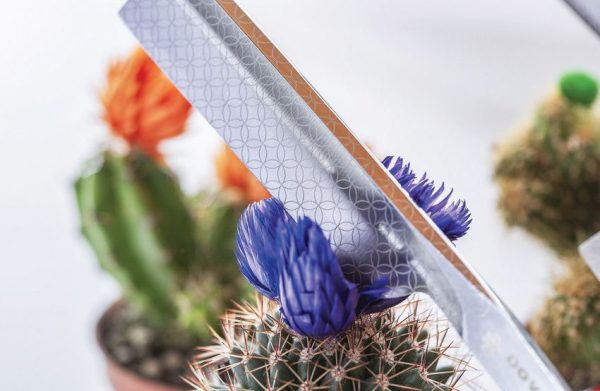 Dovo Runde Sache 5/8 Straight Razor German Carbon Steel Green