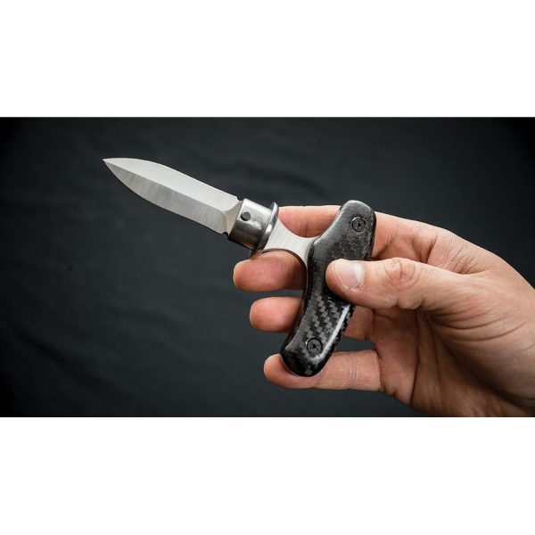 Dragon King Sword Cane Carbon Fiber Spring Steel Blade